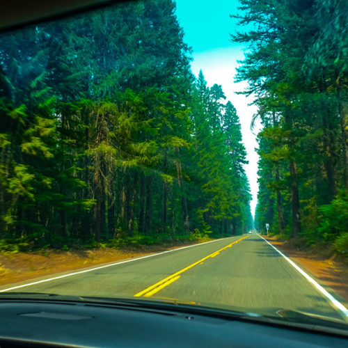 PNW Road Trip - Portland, Oregon